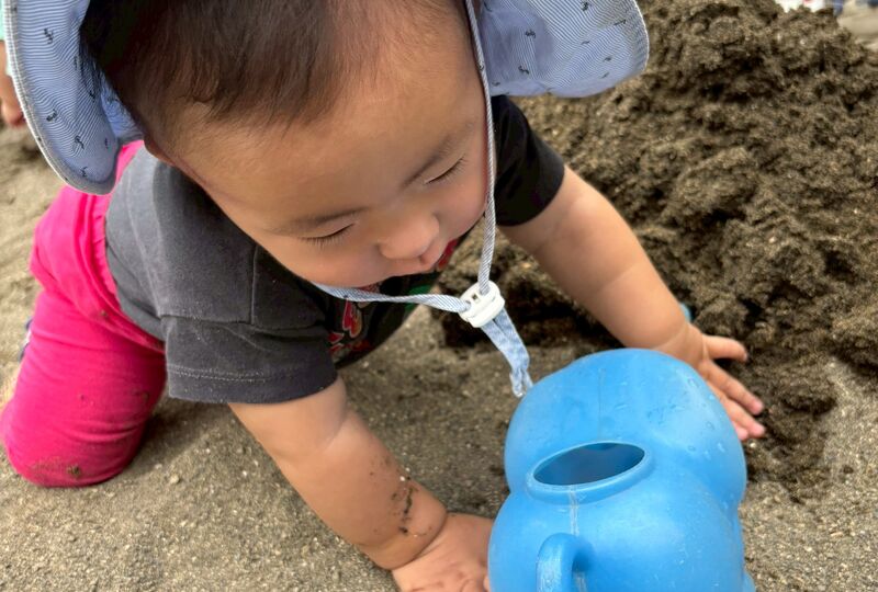 ぼたんたん