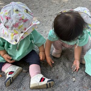 写真１