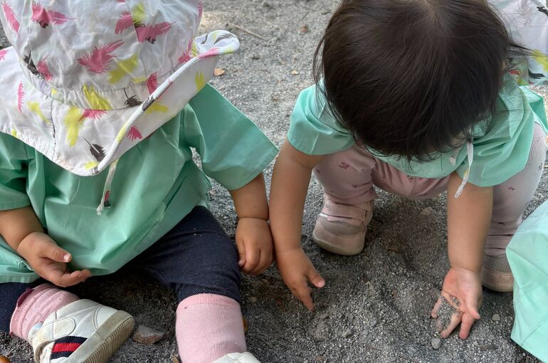 写真１